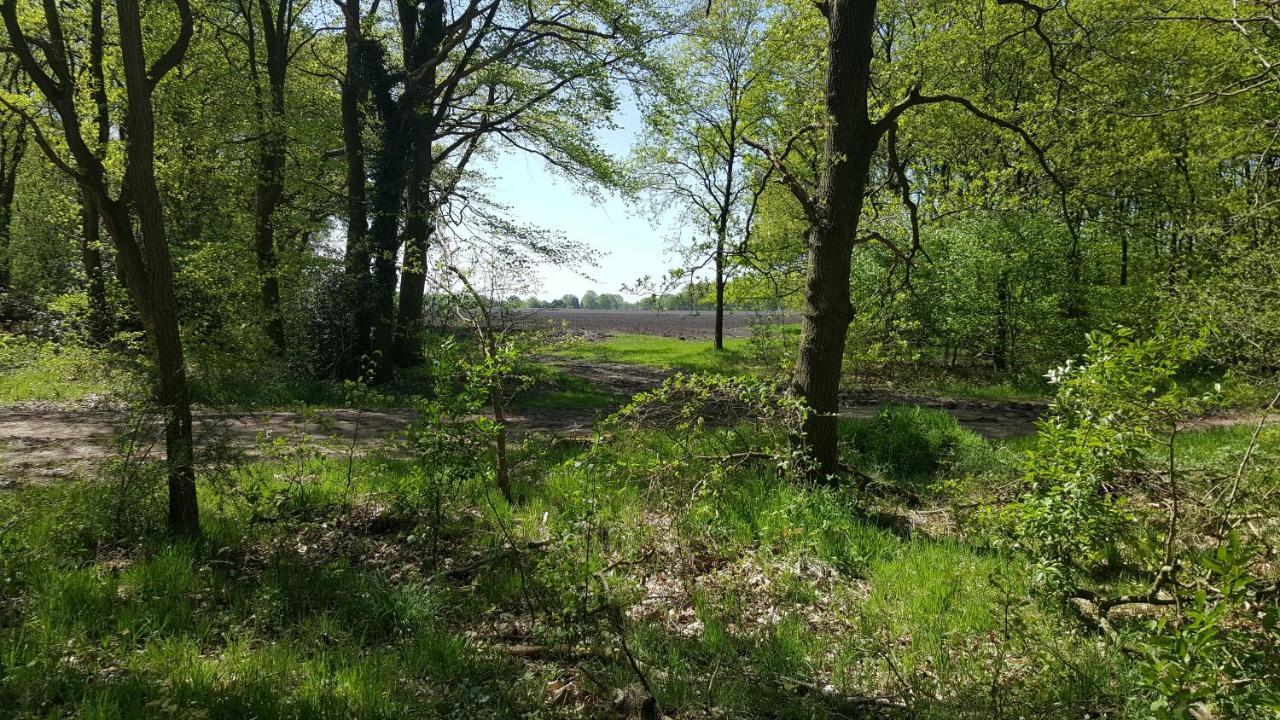 Вілла Chalet Drenthe Schoonloo Екстер'єр фото